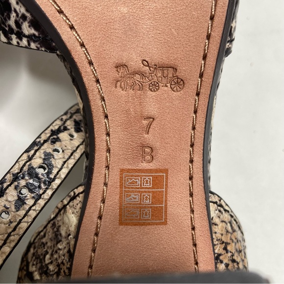 COACH “Pipher” Leather Ankle Strap Block Heel Sandal - Picture 14 of 16